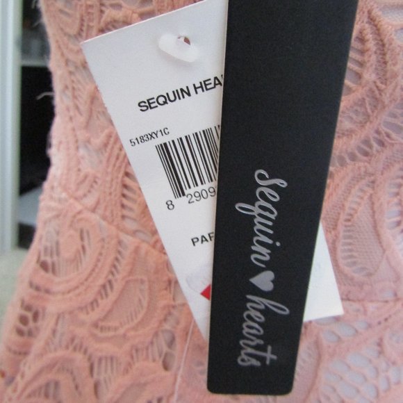 SS full blush pink lace w/nude underlay dress - Picture 4 of 6